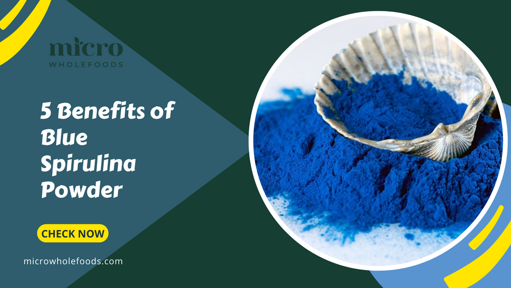 5 Benefits of Blue Spirulina Powder